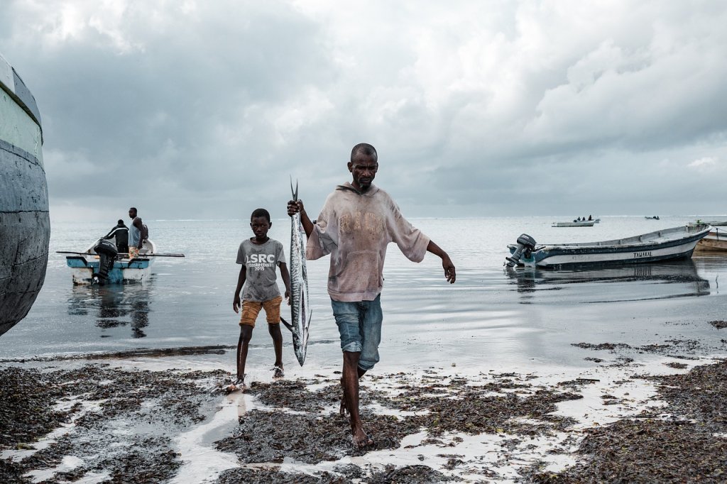 fishermen, fish, boats