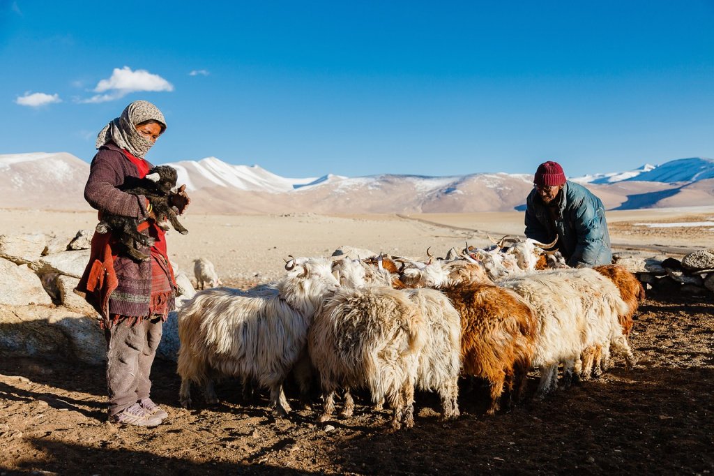 mountain, himalayan, people