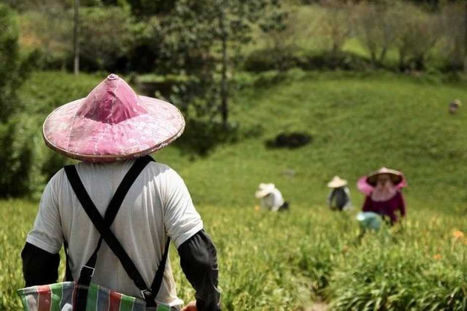 ChatGPT台灣怎麼用？